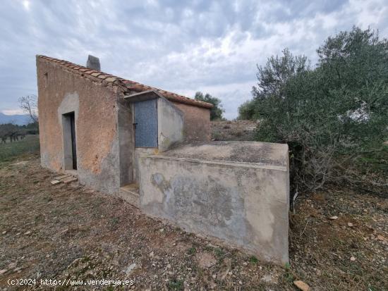 Económica Finca, con antigua caseta de campo de 25 M2 en El Perello - TARRAGONA