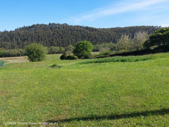 Se Vende en Castrillon - ASTURIAS