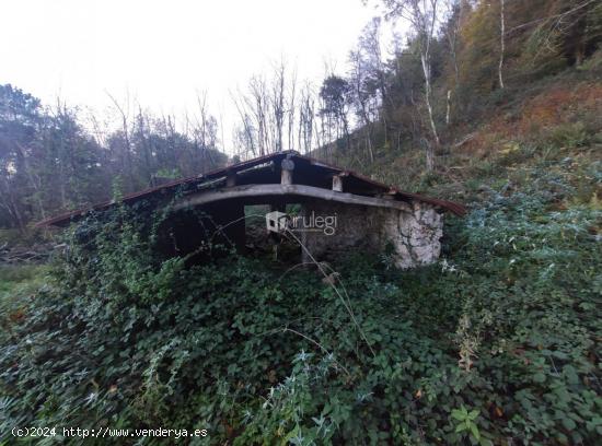  Terreno rural en Andoain - GUIPUZCOA 