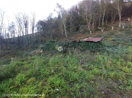 Terreno rural en Andoain - GUIPUZCOA