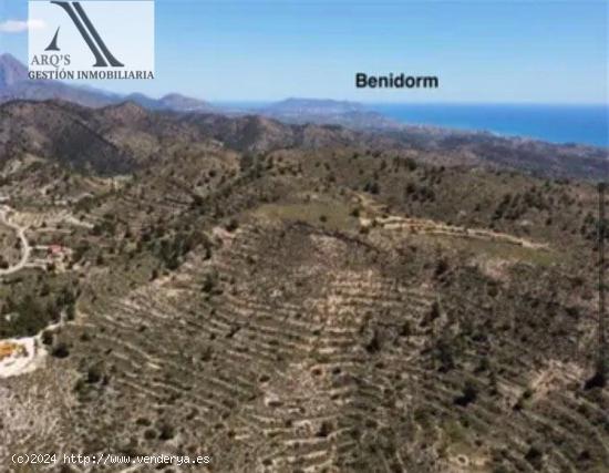  ESTUPENDO TERRENO EN AIGÜES - ALICANTE 