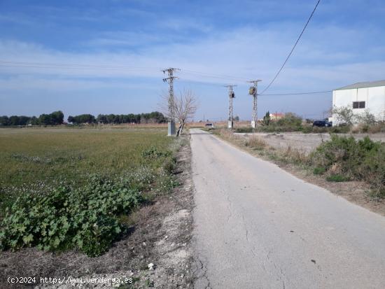 RUSTICA EN GRANJA DE ROCAMORA - ALICANTE