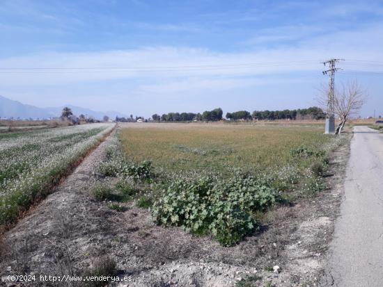 RUSTICA EN GRANJA DE ROCAMORA - ALICANTE