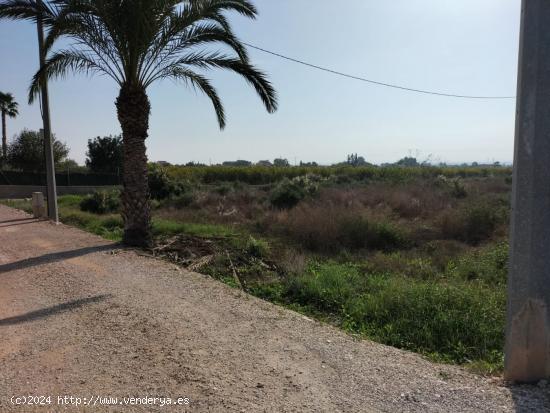 TIERRA RUSTICA EN CREVILLENT - ALICANTE