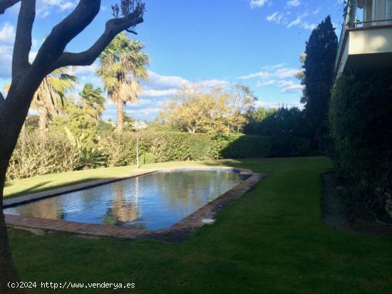  Se Alquila en Sotogrande - CADIZ 