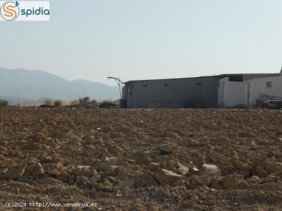  VENTA FINCA RUSTICA EN LOS GALLARDOS 8,35 HAS RIEGO 14.30 HORAS C.R LA ALCORNIA - ALMERIA 