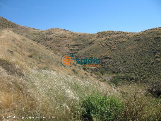 Parcela de 3Ha en pueblo de Goñar, cerca de Lorca y Pto Lumbreras con vistas panorámicas - ALMERIA