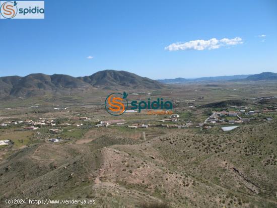 Parcela de 2Ha y 39 Áreas con vistas panorámicas a almendros y montañas - MURCIA