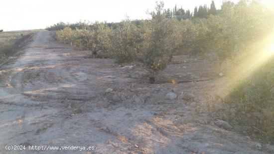 Se Vende en Las Torres de Cotillas - MURCIA