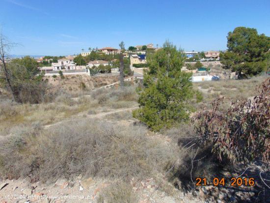 Se Vende en Molina de Segura - MURCIA