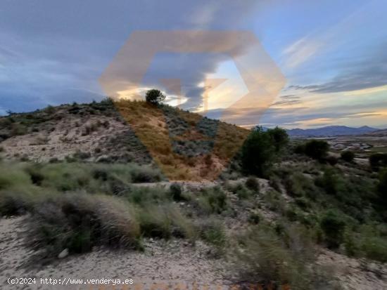 SE VENDE PARCELA EN MOLINA DE SEGURA - MURCIA