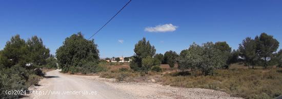 ATENCIÓN INVERSORES!!!!NTERRENO URBANIZABLE EN LA CONARDA. - VALENCIA