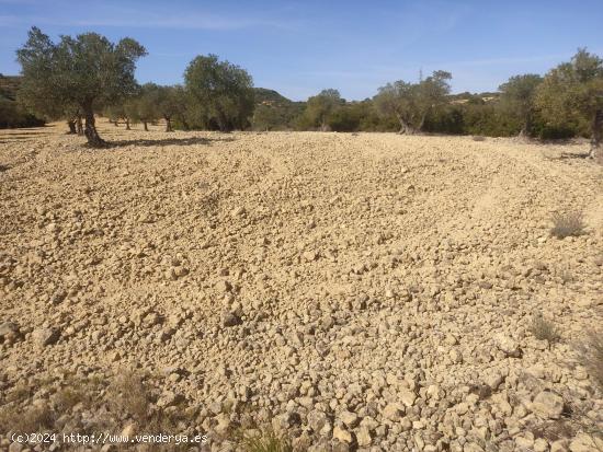 PARCELA RUSTICA DE 15.000M2 CERCA DEL CASCO URBANO - ALBACETE