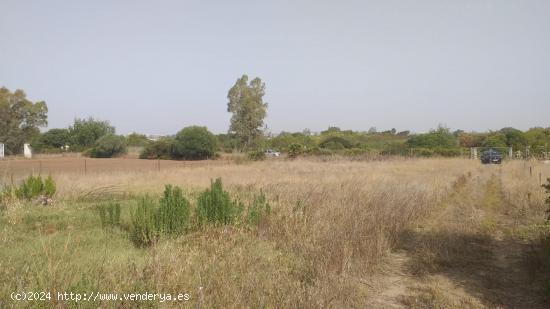 TERRENO RÚSTICO DE 11400M2 - CADIZ