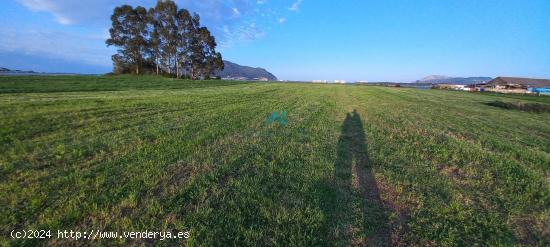 Se vende terreno rústico en Cicero - CANTABRIA