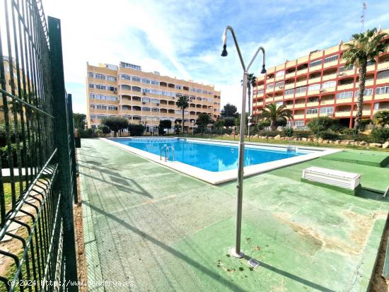  APARTAMENTO 1 DORMITORIO -  PISCINA - VISTAS DESPEJADAS -  PLAYAS - ALICANTE 