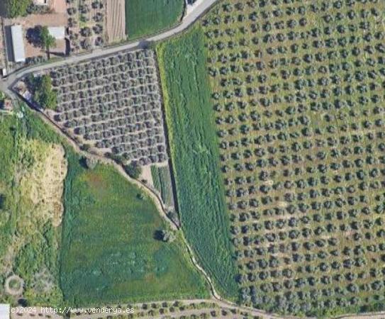  Terreno en La Zbia - GRANADA 