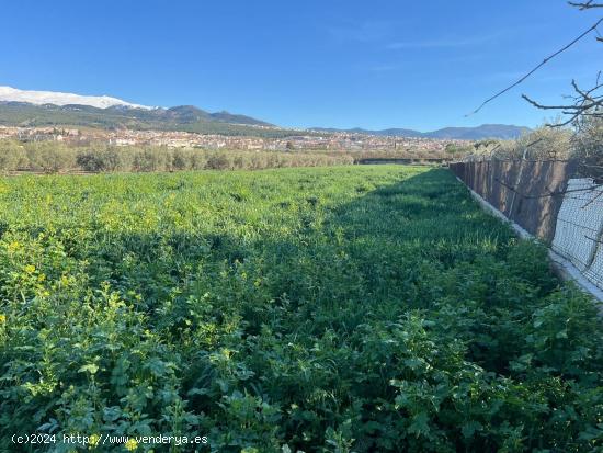 Terreno en La Zbia - GRANADA