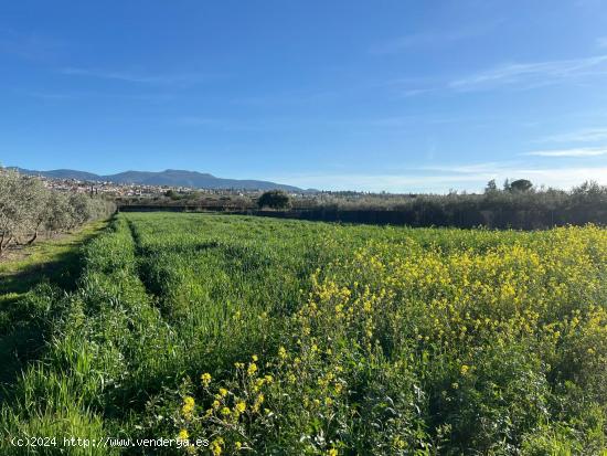 Terreno en La Zbia - GRANADA