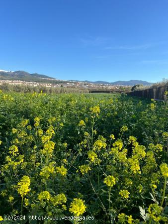 Terreno en La Zbia - GRANADA