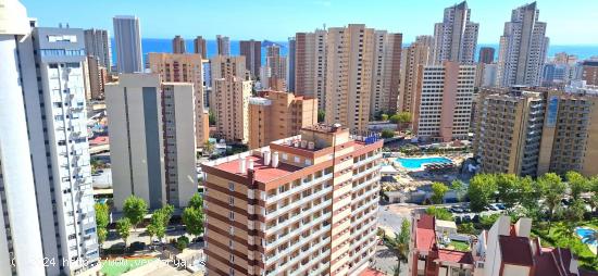 PISO EN VENTA.  LEVANTE BENIDORM ( PISCINA,PARKING CERCA DE LA PLAYA ) - ALICANTE