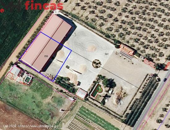 SE VENDE  COOPERATIVA  FINCA DE 10.000Mt CON NEGOCIO EN PLENA FACTURACIÓN MUY RENTABLE   NAVE 1500M