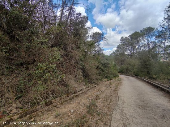 Suelo rústico en venta  en Cervelló - Barcelona