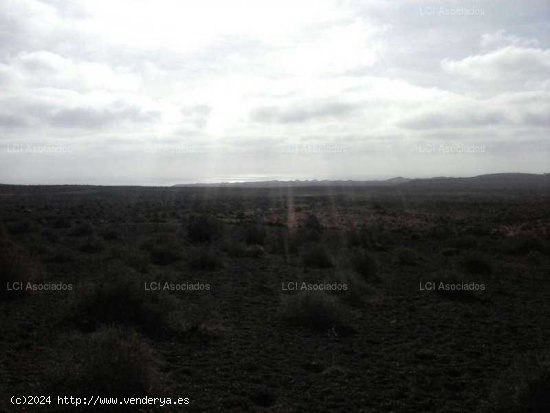 SE VENDE Parcela/Finca en Venta en Guatiza - Teguise