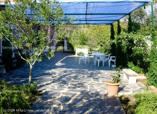  SE VENDE FINCA RÚSTICA EN VENTA EN ALMONASTER LA REAL (HUELVA) ESPAÑA. - Almonaster la Rea 