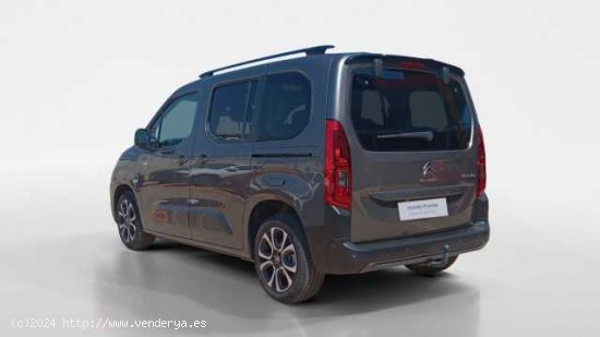 Citroen Berlingo Diesel ( Berlingo BlueHDi S&S Talla M Shine 100 )  - Cartagena