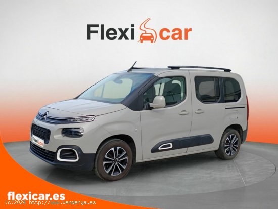 Citroën Berlingo Talla M BlueHDi 100 LIVE - Vizcaya