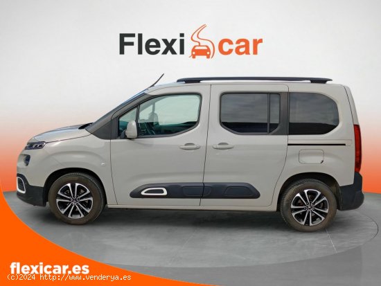 Citroën Berlingo Talla M BlueHDi 100 LIVE - Vizcaya