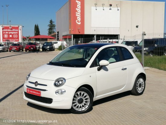 Fiat 500 Lounge 1.0 6v GSE 52KW (70 CV) blanco 2020 - Carcaixent