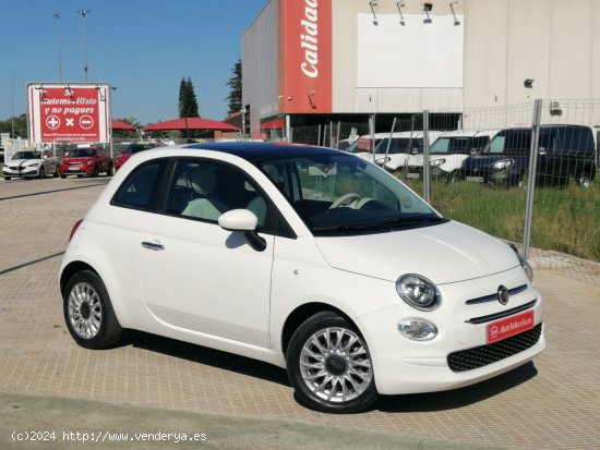 Fiat 500 Lounge 1.0 6v GSE 52KW (70 CV) blanco 2020 - Carcaixent