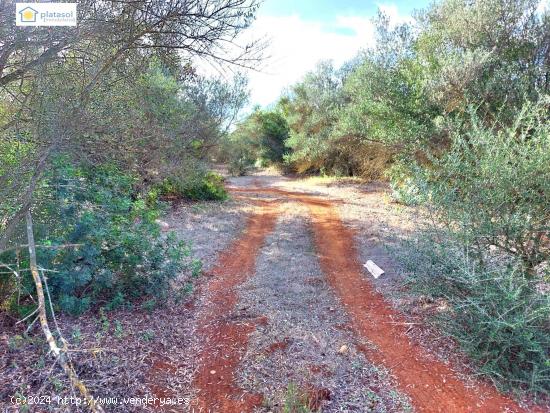  Finca rústica a la venta con casi 7 hectáreas en Gerena, Sevilla - SEVILLA 