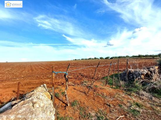 Finca rústica a la venta con casi 7 hectáreas en Gerena, Sevilla - SEVILLA