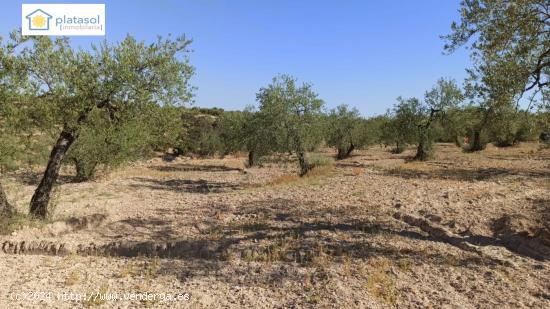 Finca rústica a la venta en Gerena zona camino piedra caballera - SEVILLA