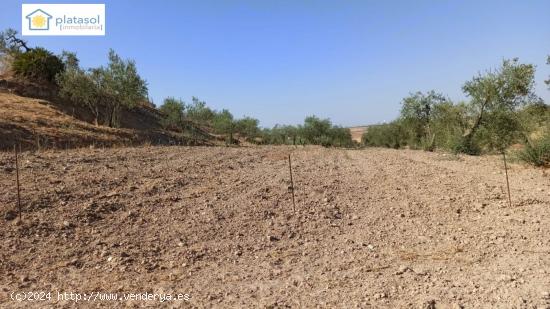 Finca rústica a la venta en Gerena zona camino piedra caballera - SEVILLA