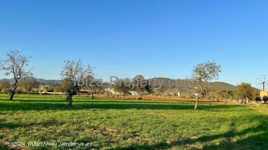  VENTA - Terreno rustico cerca de Santa Eulalia del Rio - BALEARES 