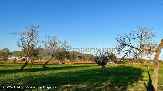 VENTA - Terreno rustico cerca de Santa Eulalia del Rio - BALEARES