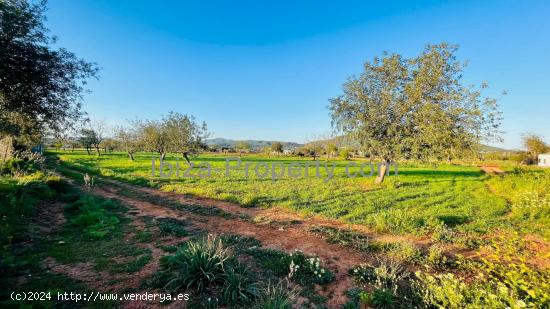 VENTA - Terreno rustico cerca de Santa Eulalia del Rio - BALEARES