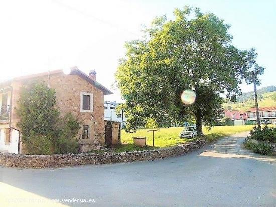 Casa independiente de piedra con terreno. - CANTABRIA