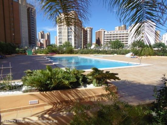 Apartamento con vistas al mar y licencia turística en zona Rincon Llano. - ALICANTE