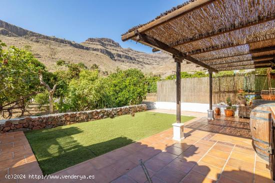 En armonía con la naturaleza: encantadora finca con terreno en Ayagaures - LAS PALMAS