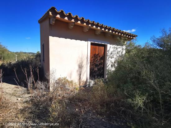 Finca rustica con casa de aperos - BALEARES