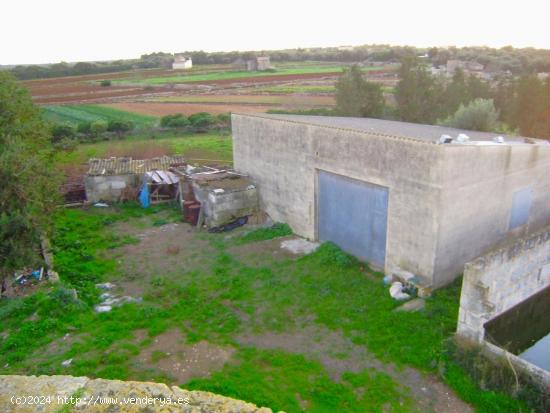 Finca rústica con muchas posibilidades en Muro - BALEARES