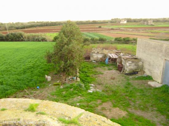 Finca rústica con muchas posibilidades en Muro - BALEARES