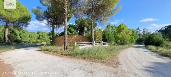 101- Suelo con naves en LA PIÑONADA, Cuéllar (Segovia) - SEGOVIA