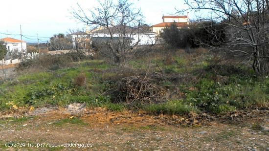 SUELO PARA EDIFICAR EN MIRABEL - CACERES