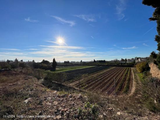  SOLAR AGRARIO EN CAMARLES - TARRAGONA 